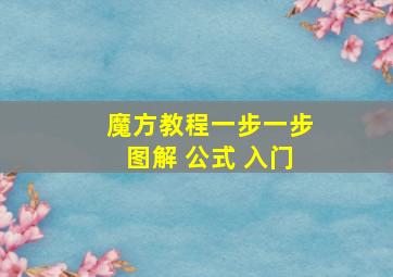 魔方教程一步一步图解 公式 入门